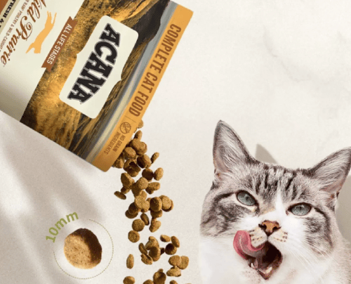 猫粮哪种好而且健康?十大放心猫粮国产名单分享