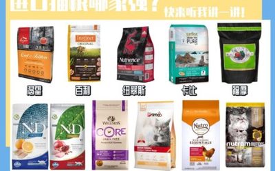 如何确保所代理品牌的成功:服务、产品与支持