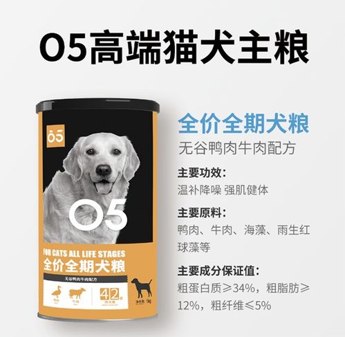 为何年轻人舍得给宠物下本吃高端粮 为何高端宠物食品成为年轻宠物主的新宠
